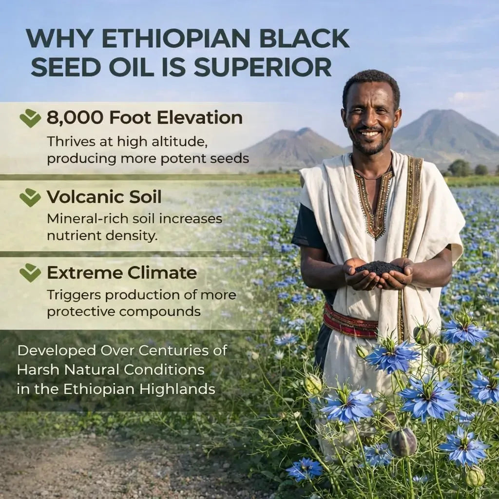 Semilla Negra Ethiopian 60 Softgels